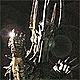  Shadow290891