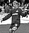   VFER